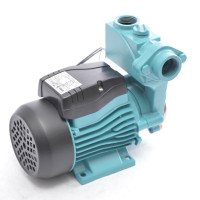 Kreiselpumpe Gartenpumpe 250 Watt 2100 L/h 3,9 bar Kreiselpumpe Gartenpumpe 250 Watt 2100 L/h 3,9 bar